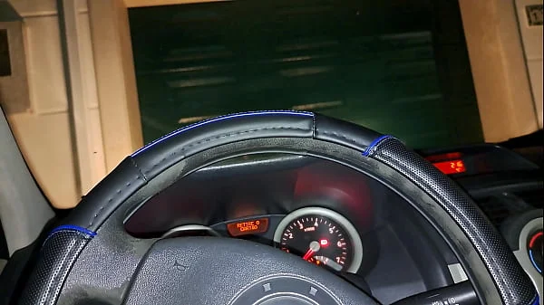 Horny Housewife Fucks the Delivery Guy Outdoor in His Car at Night