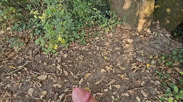 I have a phobia of snakes, but not of this one I found in the woods