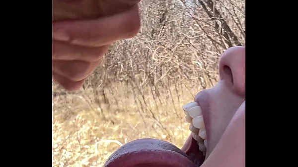 Caught Fucking in the Forest