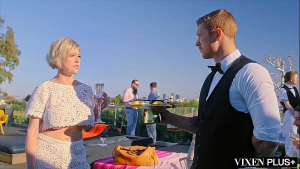 VIXENPLUS Cock hungry socialite Dee fucks server at house party