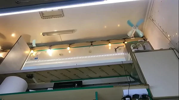 The boss is playing with his sexy shop assistant pussy while she talks to the customer