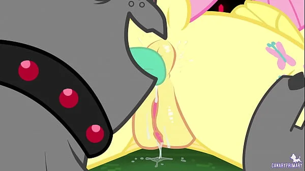 CanaryPrimary - Non-Aggression Pact