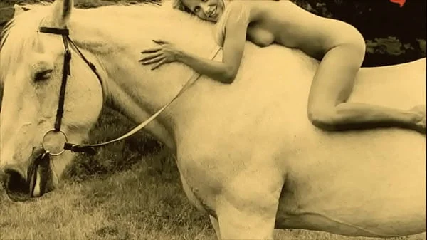 Vintage Taboo, Pussy & Pooch