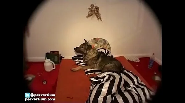 German Whores Piss And Cum Gangbang