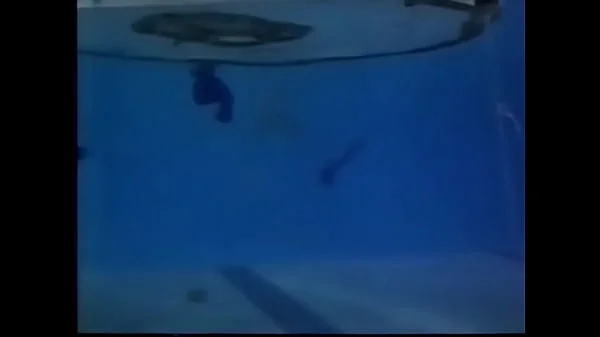 ENF - Swimmers lose swimsuits