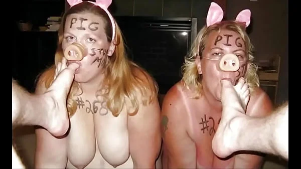 2019 Year Of The Pig