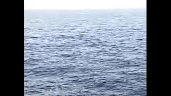 Cariño destrozame pelicula completa