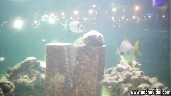 In an elegant strip club, the Spanish Alexa Tomas meets Nacho Vidal. They kiss in public, they undress and he eats her pussy in front of all the attendees