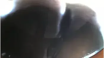 Pussy On Glass Table