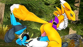 Renamon And Lucario