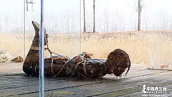 asian chinese bondage shiabri