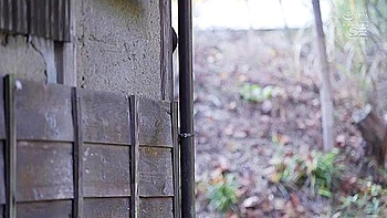 Hottest Sex Movie Hd Wild