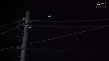 488-youth-with-areare-vec