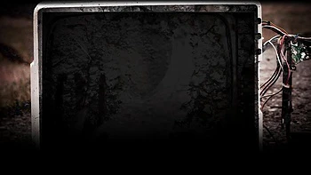 Tight Little Blonde Dani Lane Gets Her Ass Eaten