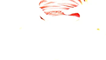 Cindy Shine Vs 3 BBC with balls deep DP and DAP SZ2611