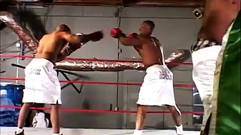 Lauren Phoenix Gangbanged: Blowjob, Babe  Anal Porn