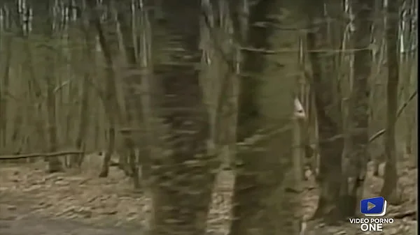 Ces salopes aiment se faire défoncer dans la paille