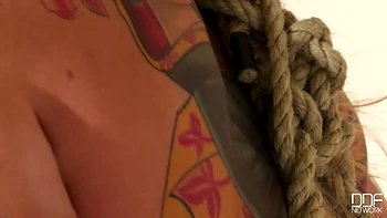 Ready For Your Pleasures