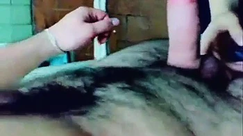 Russian whore sucks: Blowjob, Amateur  Bongacams Porn