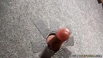 Chanel Preston In Chanel Sucks And Fucks Black Gloryhole Cock