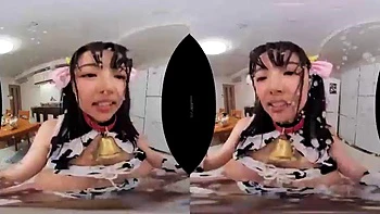 Dsr 528b: Blowjob, Cowgirl  Amateur VR Porn