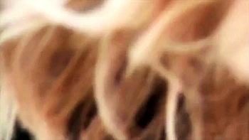 Aballs And Cock Crushing Sexbomb - CBTrample - Rider Alina