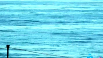 ATKGirlfriends Summer Vixen Malibu