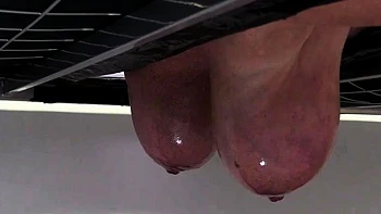 HuCows Manuela On The Milking Bed