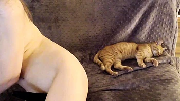 Big Boobs Cam Sex Toys more