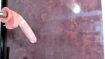 Amateur brunette ariana marie solo toying