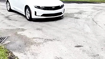 Mr Lucky Life - big ass action