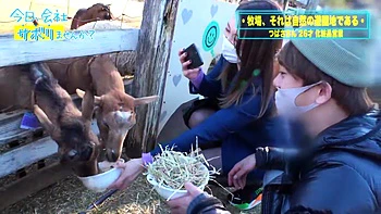 0010710_黒パンスト 黒パンスト破り パンスト ほか