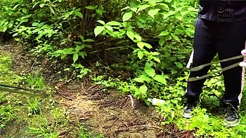 UNPNPXHJRBKBACCHWB44CAWD886