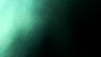 Nikita Kinka Homemade Doggy Tape