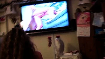 Bubble butt amateur goes solo with a toy in the powder room