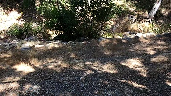 Loira de bundão e peitos grandes fodida ao ar livre