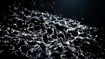 Paula's lesbian action