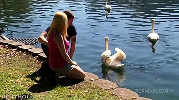 Casais americanos e europeus fodejam pesado na webcam