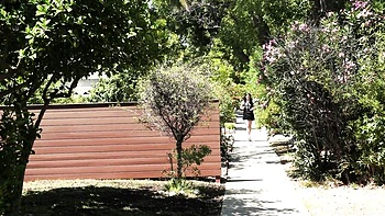 Grooby girls baise anale hardcore avec star trans