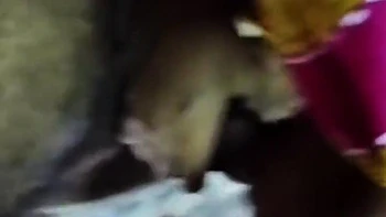 Мое первое индийское минет-видео