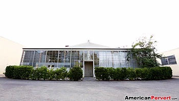 Групповой трах Гарри: азиатки, большие сиськи, лесбиянки