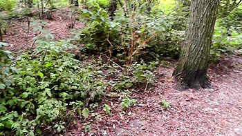 Adolescente brune fait une branlette risquée en POV dehors