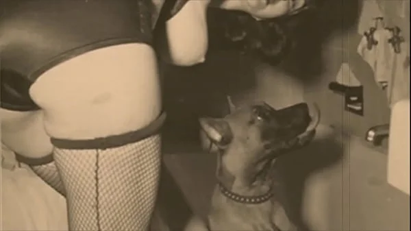 Dark Lantern Entertainment presents 'Beauty And The Beast'