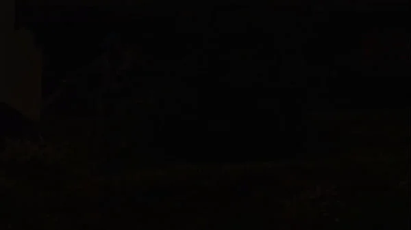 Morning sex with Alexis Tae and Laz Fyre