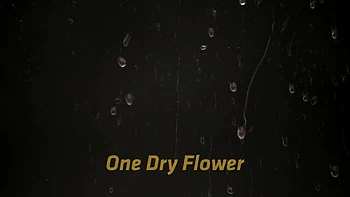 Vivid Violette Pure's Hardcore Anal & Pissing