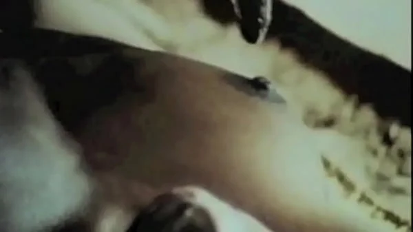 Vintage Babes With Pets