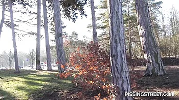 Pissing Street - pissing action